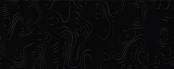 High-Resolution Topographic Line Drawing with Fine Elevation Details and Precision Mapping

