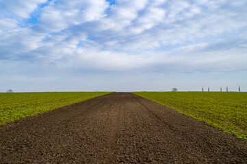 Plowed Field Divided by Growth