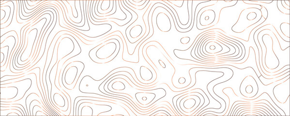 Fototapeta premium Abstract Terrain Contour Design with Flowing Lines and a Contemporary Artistic Flair