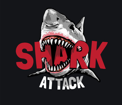shark attack slogan with shark open mouth vector illustration on black background