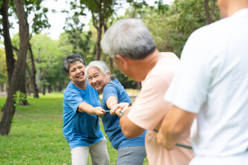 Fototapeta premium Four cheerful seniors in a friendly tug of war on a vibrant green lawn showcasing their vitality, camaraderie, and Active Seniors lifestyle, enjoying an active and playful moment in a park setting.
