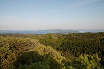森の向こうの七尾湾と能登島