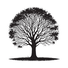 Large Elm Tree silhouette with artistic branching patterns - Elm Tree silhouette - Elm Tree vector - Elm Tree illustration - Elm silhouette - Elm vector
