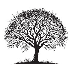 Beautiful Elm Tree silhouette for nature and forest themes - Elm Tree silhouette - Elm Tree vector - Elm Tree illustration - Elm silhouette - Elm vector
