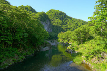 Fototapeta premium 大川渓谷七滝