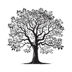 Obraz premium Hickory Tree silhouette with a solid base and beautiful textured branches - Hickory Tree silhouette - Hickory Tree vector - Hickory Tree illustration - Hickory silhouette - Hickory vector 