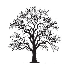 Hickory Tree silhouette showcasing natural beauty and realistic textures - Hickory Tree silhouette - Hickory Tree vector - Hickory Tree illustration - Hickory silhouette - Hickory vector
