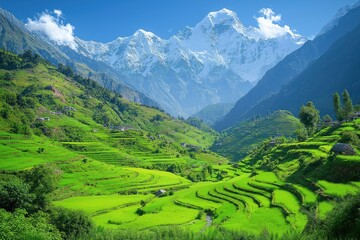 Stunning terraced rice fields nestled in majestic mountains under a clear blue sky