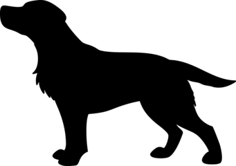 A silhouette dog isolated on a transparent background