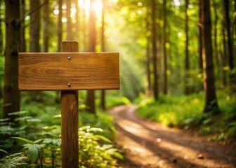 Fototapeta premium Wooden Signpost in a Serene Forest Trail with a Bokeh Effect