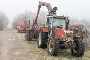 A red tractor with a logging trailer parked on a frosty rural path surrounded by leafless trees on a misty winter morning. 