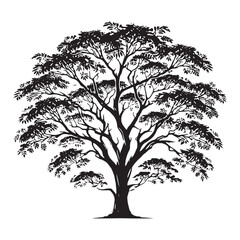 Forest-inspired Mahogany Tree silhouette with organic elements - Mahogany Tree silhouette - Mahogany Tree vector - Mahogany Tree illustration - Mahogany silhouette - Mahogany vector
