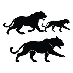 Tigers vector silhouettes art-9