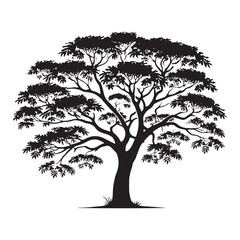 Majestic Mahogany Tree silhouette with detailed branching - Mahogany Tree silhouette - Mahogany Tree vector - Mahogany Tree illustration - Mahogany silhouette - Mahogany vector
