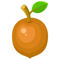 Flat Sapodilla Icon