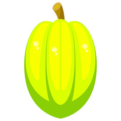 Flat Star Fruit Icon