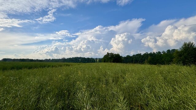 clouds rolling into the fields