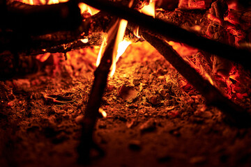 Burning firewood close-up bright flames orange and yellow colors intense heat glowing embers dark...