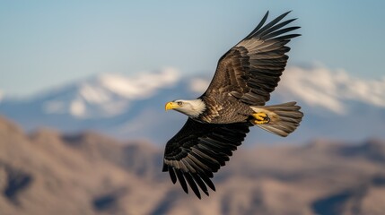 Fototapeta premium Majestic Bald Eagle Soaring Against Mountainous Landscape