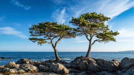 Two beautiful trees on the edge of an ocean beach, surrounded by rocks and with a clear blue sky. Stunning nature photography. 