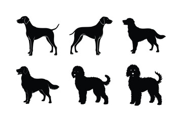 Vector dog breed silhouette collection in black