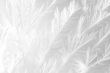 Frosty texture background with delicate patterns resembling nature's artwork
