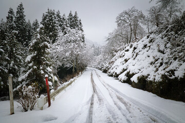 Fototapeta premium 降り積もる雪で白く覆われた滑りやすい雪道