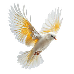 Obraz premium Striking White Bird with Yellow Feathers Isolated on Transparent Background for Vibrant Wildlife and Nature Design Concepts