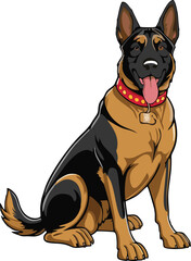 Obraz premium Belgian Malinois dog mascot logo design concept vector illustration white background