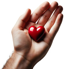 Fototapeta premium Hands holding Heart World Organ Donation Day isolated on transparent background