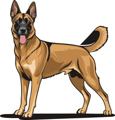 Belgian Malinois dog mascot logo design concept vector illustration white background