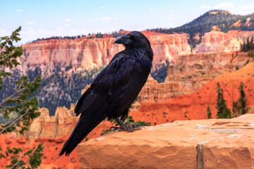 Bryce Canyon National Park