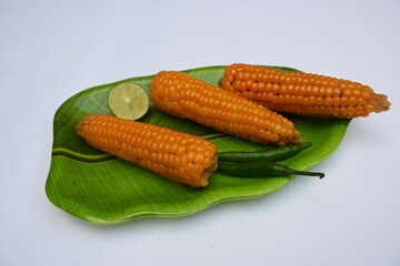 Boiled sweet corn on the plate. This is a complete food for humans. It contains many vitamins, such as Vitamin B1, B5, C, B9, E, A. Boiled corn on the cob. It's like all over world.  Heathy eating. 