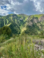 Green mountains of Kyrgyzstan. Naryn region 