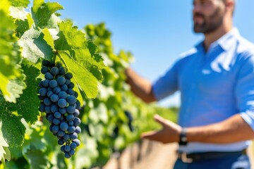 Obraz premium Vineyard tour guide shares insights on winemaking to interested tourists among lush grapevines in a scenic winery setting