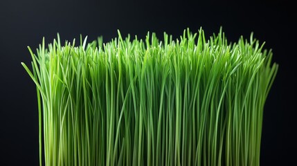 The grass is greener