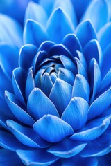 Obraz premium Enchanting cobalt blue artichoke bloom surrounded by delicate blue petals showcasing vivid macro details