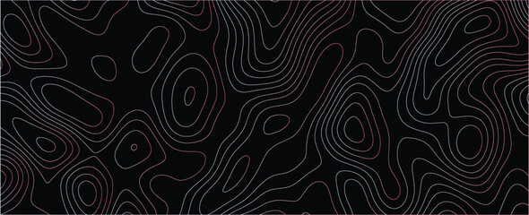 Intricate visualization featuring dynamic maze-like contours and layered line design
