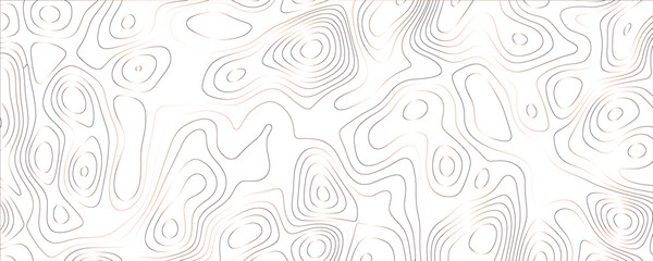 Modern illustration with elegant fluid curves and complex organic contours
