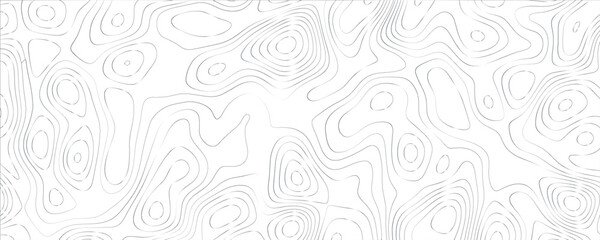Obraz premium Detailed mapping design with innovative maze-like patterns and organic line structure 