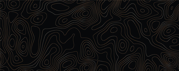 Detailed mapping design with innovative maze-like patterns and organic line structure
