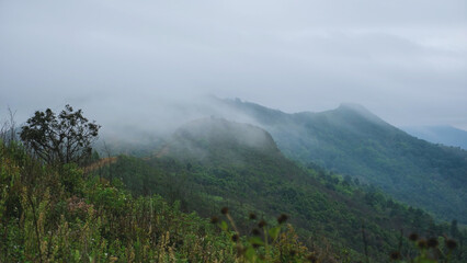 Landscape view of mountains and fog in the morning