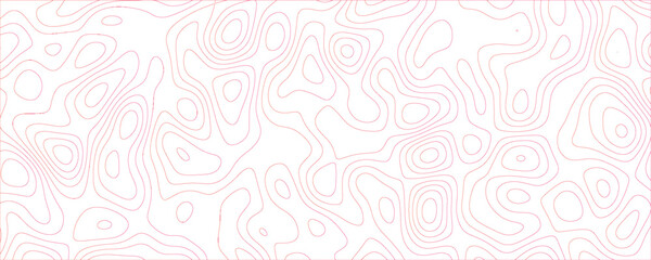 Architectural mapping with dynamic interlaced contours and elegant flow design
