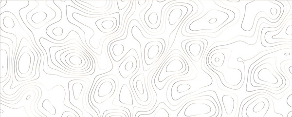 Elegant artwork with layered natural curves and innovative mapping elements
