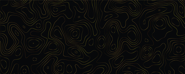 Detailed mapping design with interlaced fluid curves and modern geometric precision
