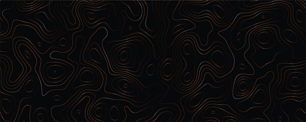 Minimalist topographic artwork with dynamic maze-like structures and elegant line interplay
