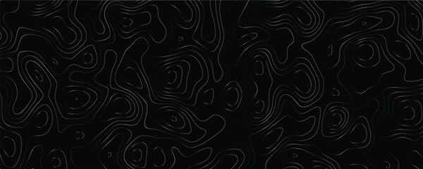 Minimalist topographic artwork with dynamic maze-like structures and elegant line interplay
