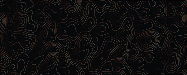 Modern topographic mapping with detailed interwoven line patterns and structural elegance
