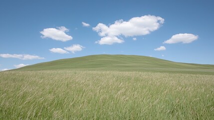 Obraz premium Rolling green hill under blue sky with fluffy clouds; scenic landscape for travel brochures