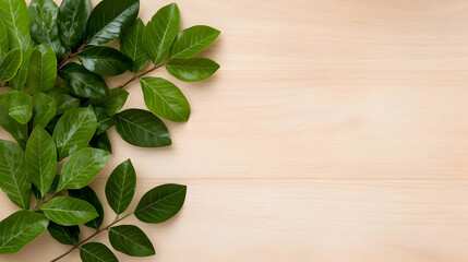 Lush green leaves on wood background, space for text, nature design